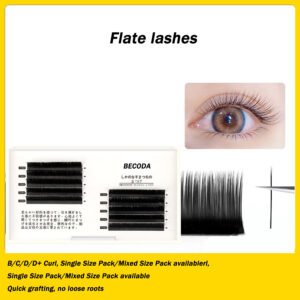 flat lash