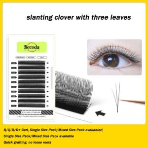 slanting clover with 3 leaves
