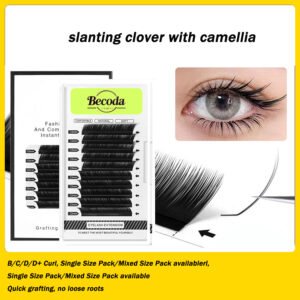 slanting clover with Camellia