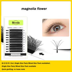 magnolla flower